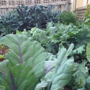 10965331_1004020222960523_2047494687_n